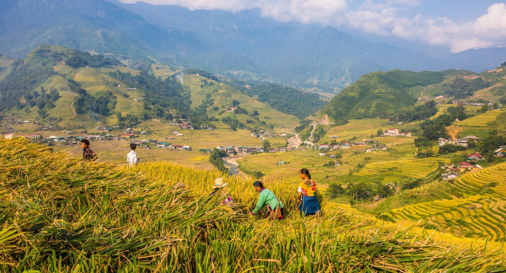 7 Days in Vietnam: Ultimate 7-Day Itinerary, Tips & Packing Guide