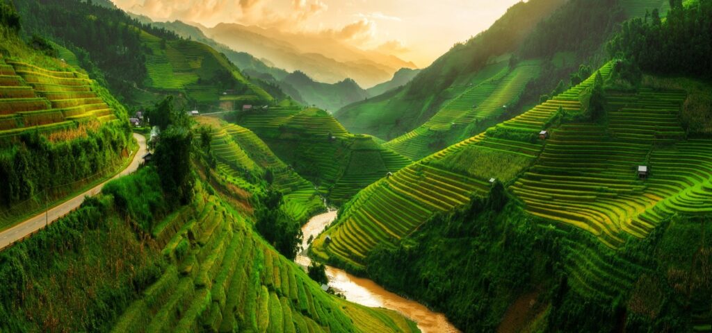 Best time to visit Vietnam: Ultimate seasonal guide