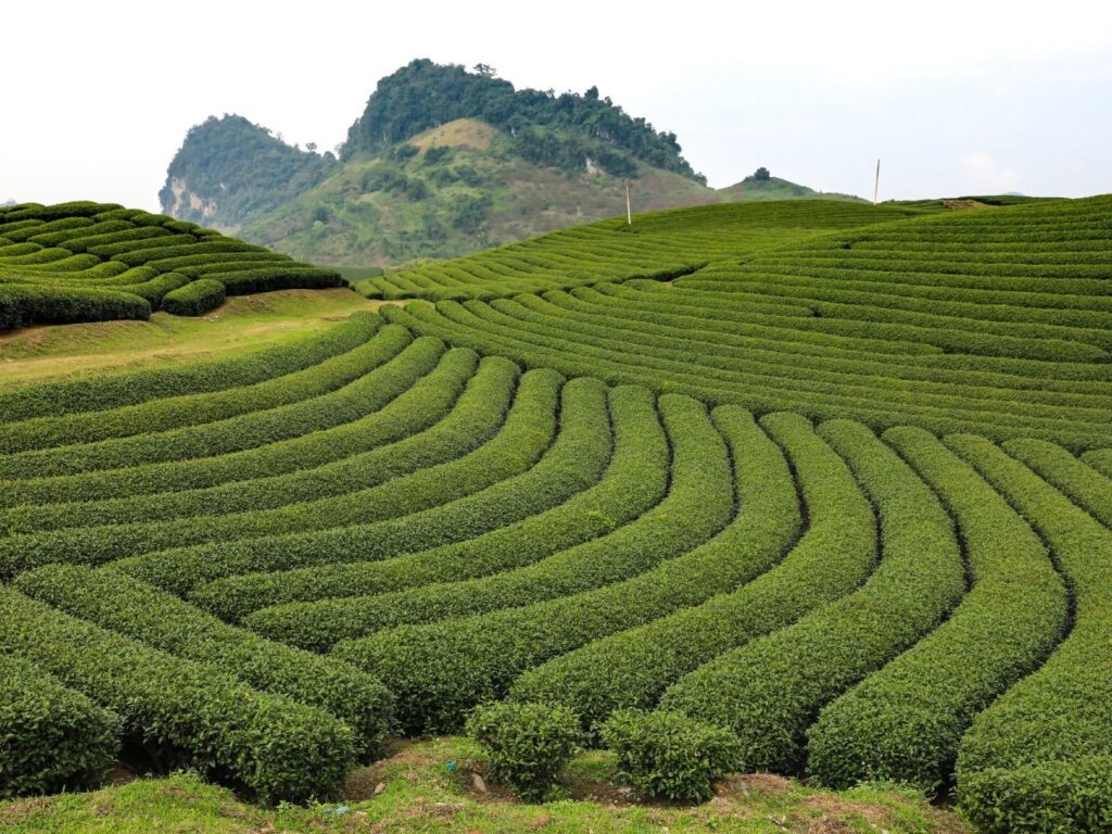 Best time to visit Vietnam: Ultimate seasonal guide