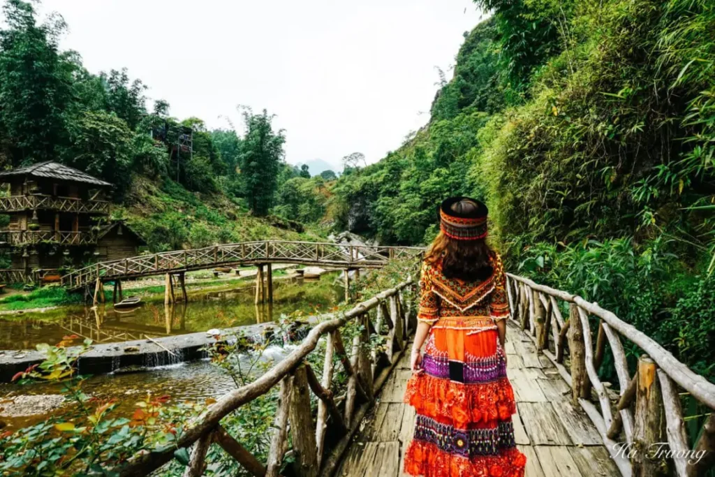 Best Vietnam Tour Packages 2025: Top Itineraries, Tips & Booking Guide