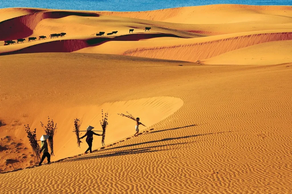 Mui Ne Sand Dunes: Travel to Vietnam Sahara-Style Adventure