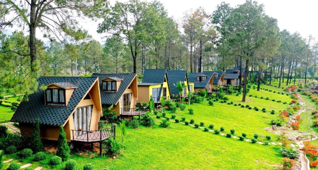 Rent homestay in Vietnam: A complete guide for foreign travelers seeking authenticity