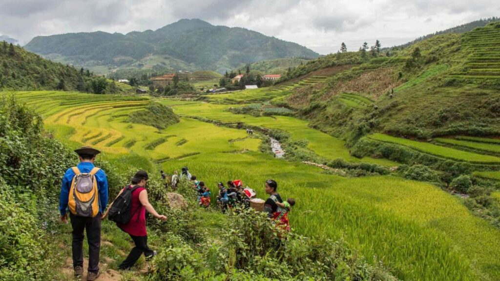 Sapa Trekking Tours: The Ultimate Guide to Vietnam’s Highland Adventures