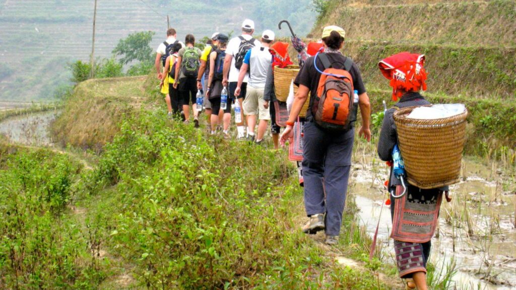 Sapa Trekking Tours: The Ultimate Guide to Vietnam’s Highland Adventures