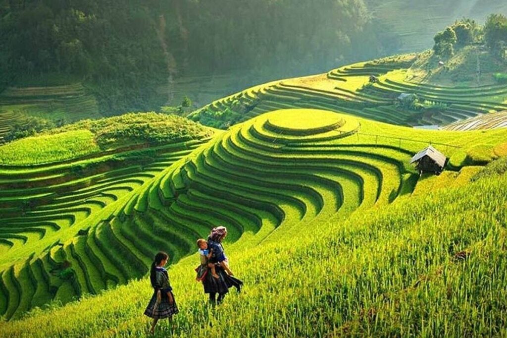 Sapa Trekking Tours: The Ultimate Guide to Vietnam’s Highland Adventures
