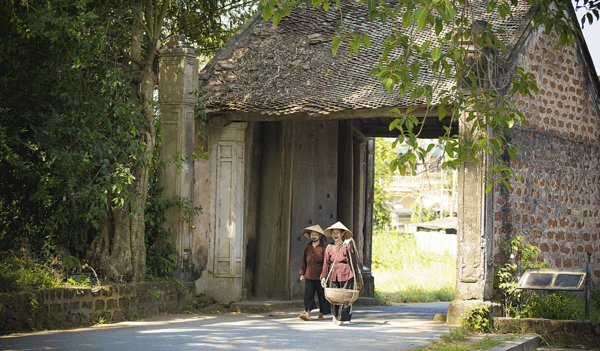 Top Vietnam Tours 2025: 5 Unmissable Itineraries, Insider Tips