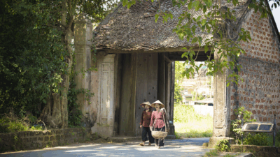 Top Vietnam Tours 2025: 5 Unmissable Itineraries, Insider Tips
