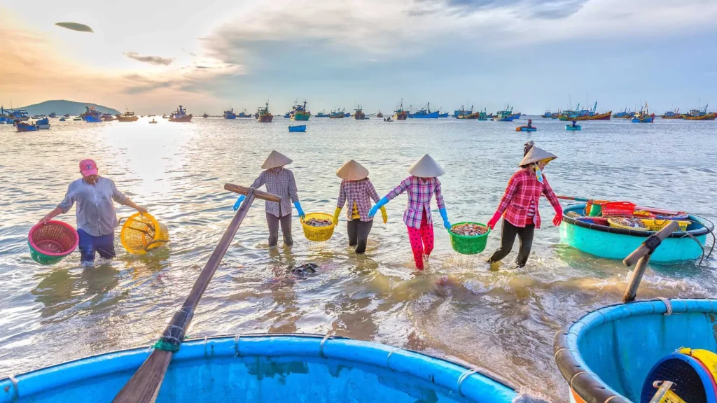 Vietnam Beaches: Discover the beautiful beaches in Vietnam