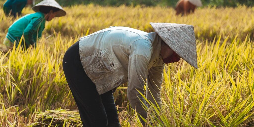 Vietnam Travel Guide: Expert Advice for Self-Guided Adventures