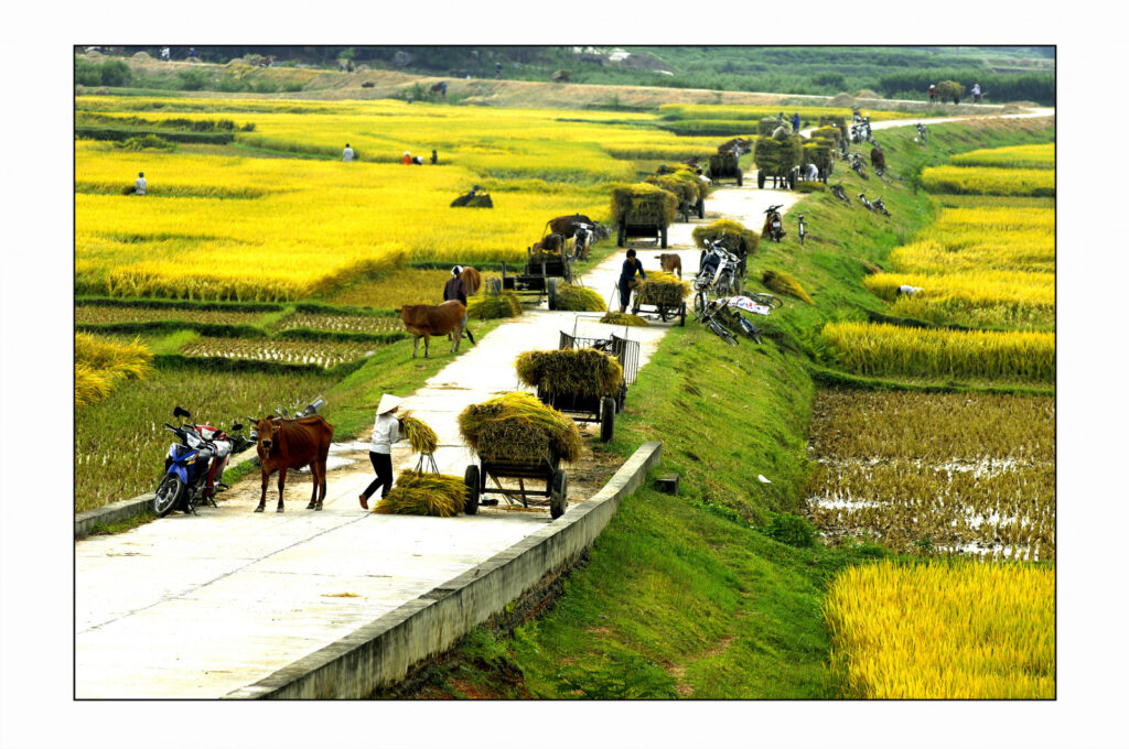 Explore Vietnam countryside: A journey into the heart of nature and culture