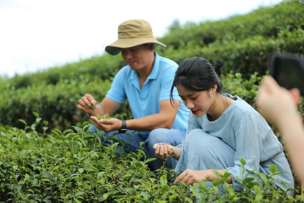 Explore Vietnam countryside: A journey into the heart of nature and culture