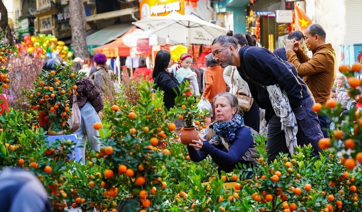 Local market tour Vietnam: A cultural journey into the heart of Vietnamese life
