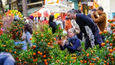 Local market tour Vietnam: A cultural journey into the heart of Vietnamese life