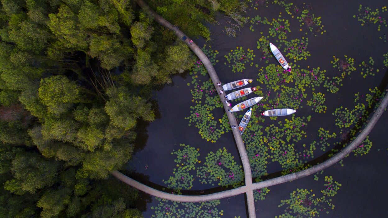 Mekong Delta Local Tour: Discover Authentic Life on the River