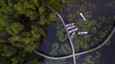 Mekong Delta Local Tour: Discover Authentic Life on the River