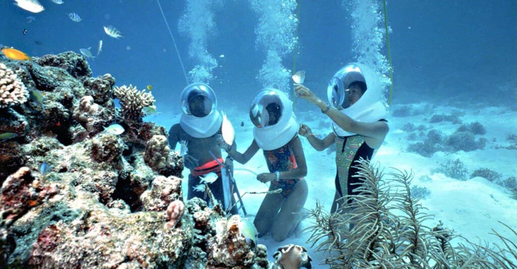 Phu Quoc diving tour: Unveiling Vietnam’s hidden marine wonderland