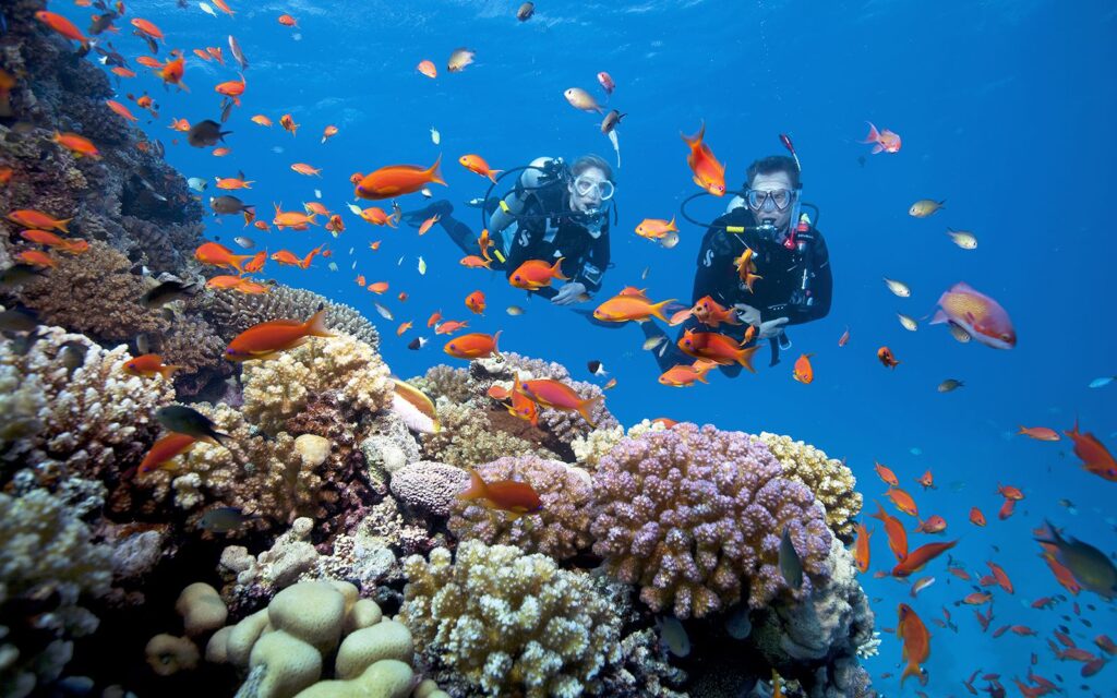Phu Quoc diving tour: Unveiling Vietnam’s hidden marine wonderland