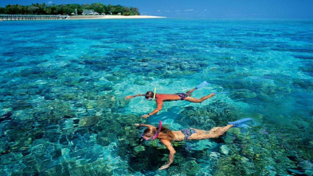 Phu Quoc diving tour: Unveiling Vietnam’s hidden marine wonderland