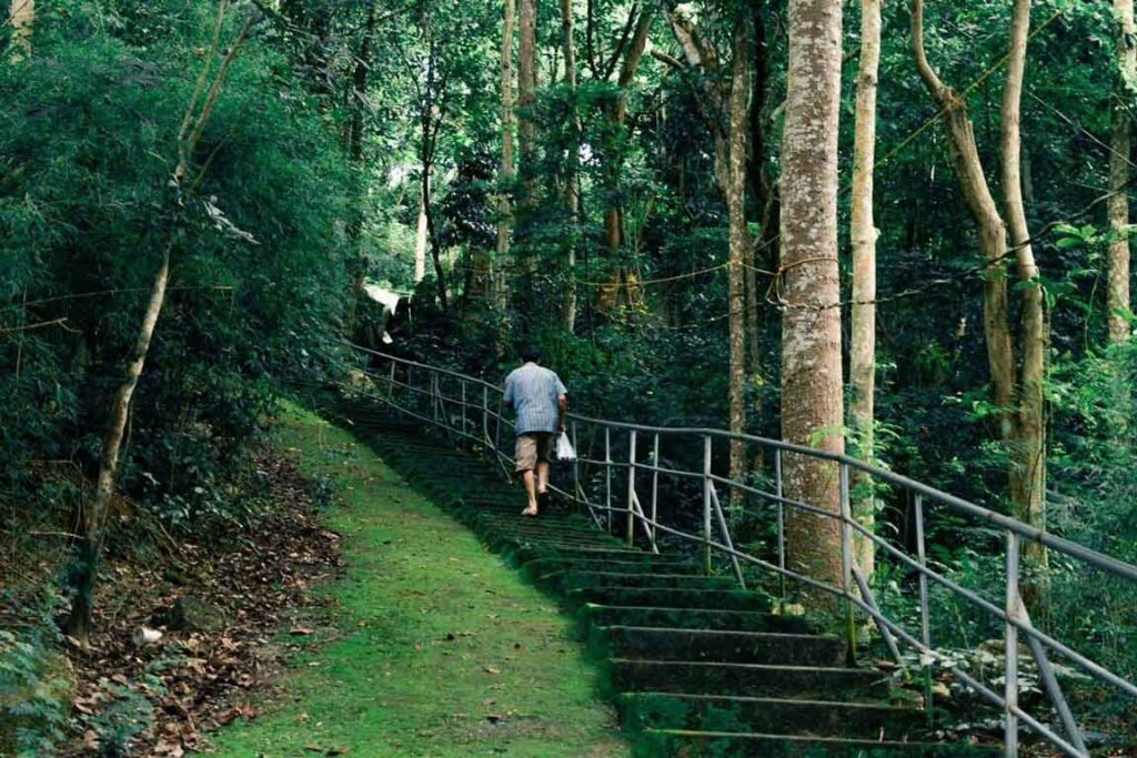 Rock climbing Vietnam: The ultimate guide to Vietnam's most scenic and challenging routes
