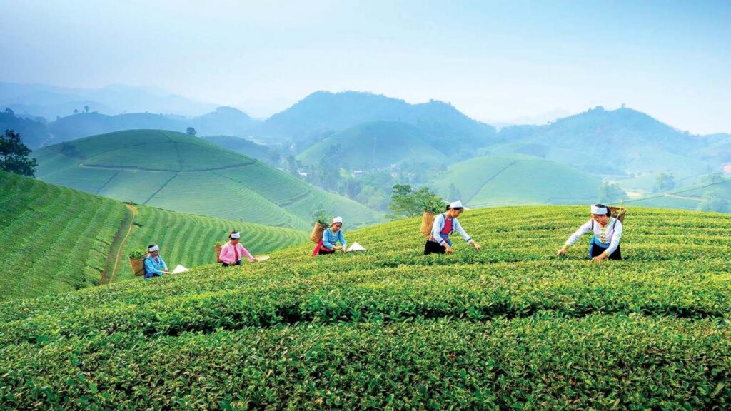Rural Vietnam experience: Rediscover life, culture, and nature beyond the cities