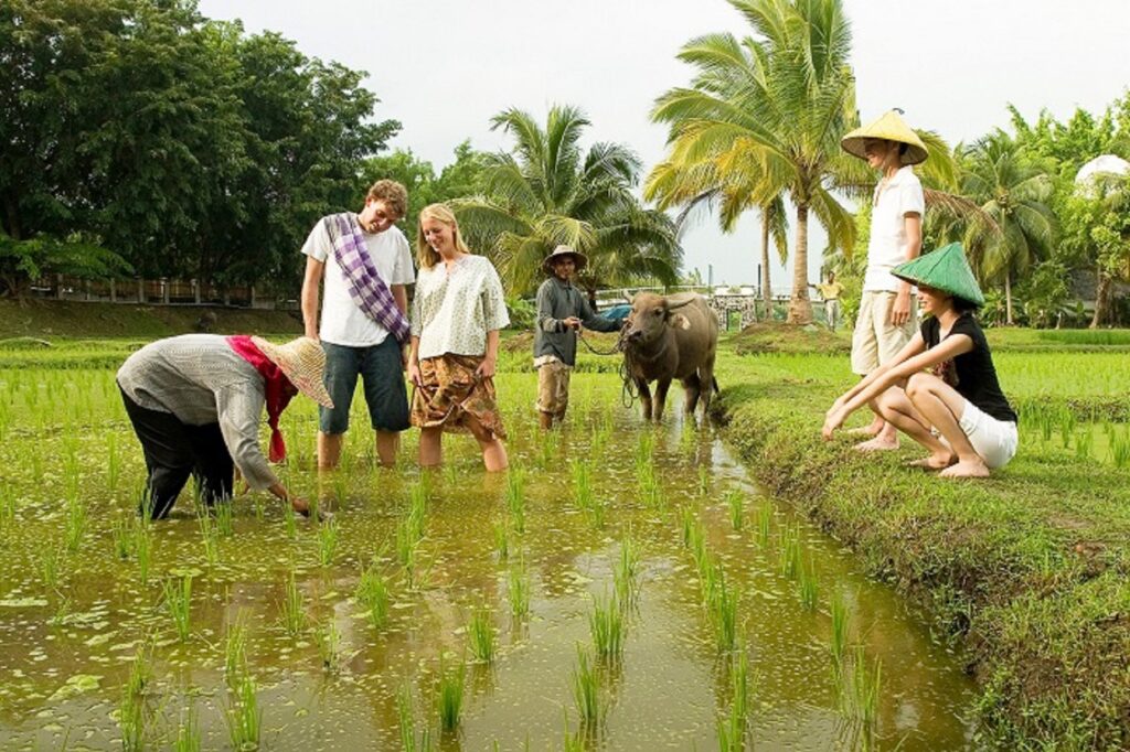 Rural Vietnam experience: Rediscover life, culture, and nature beyond the cities