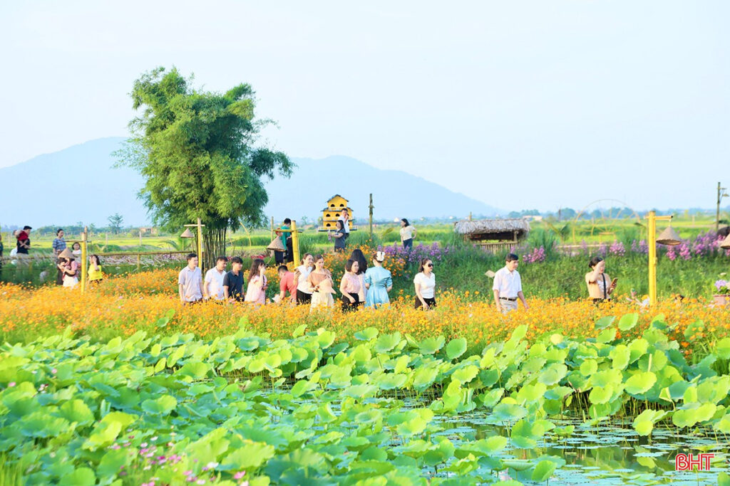 Rural Vietnam experience: Rediscover life, culture, and nature beyond the cities