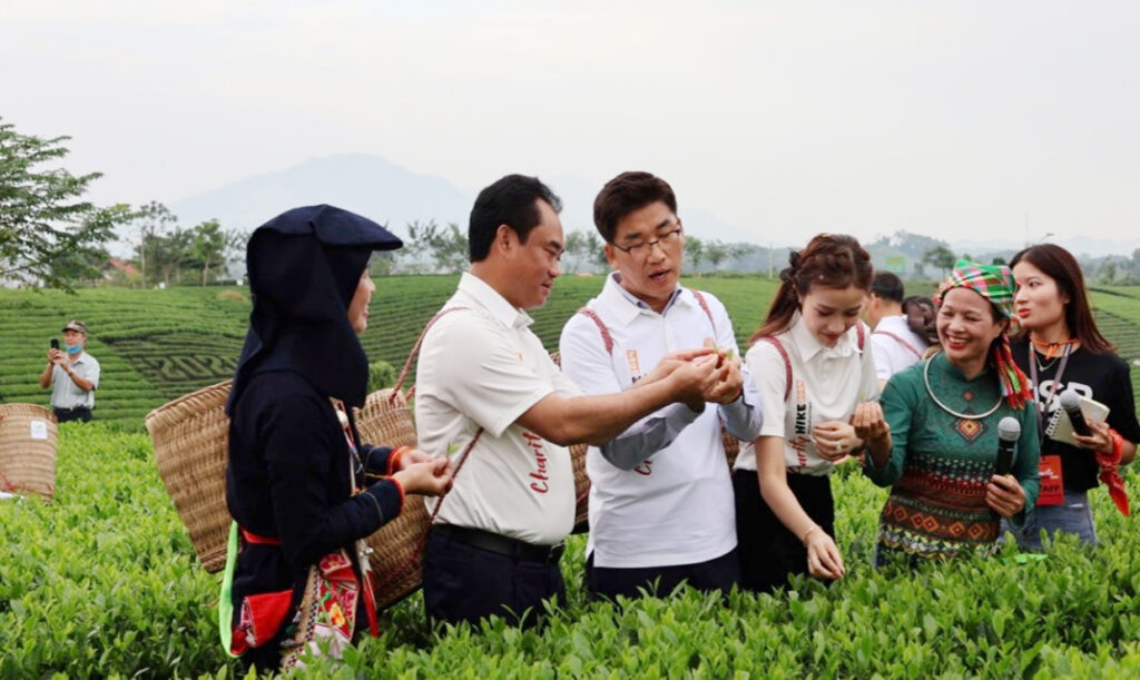 Tour Vietnamese tea tasting: A journey into Vietnam’s rich tea culture