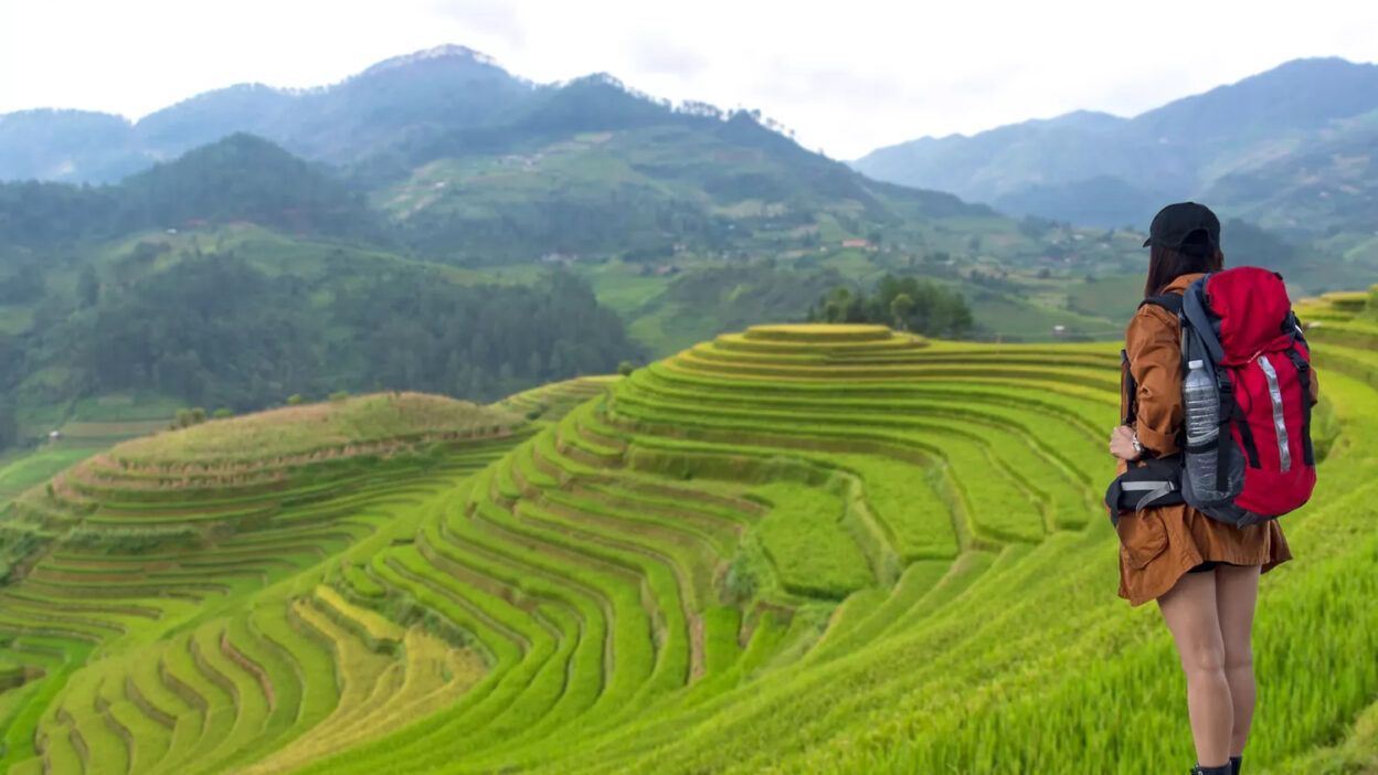 Experience the best Vietnam hiking tours: A complete guide to nature, culture, and adventure