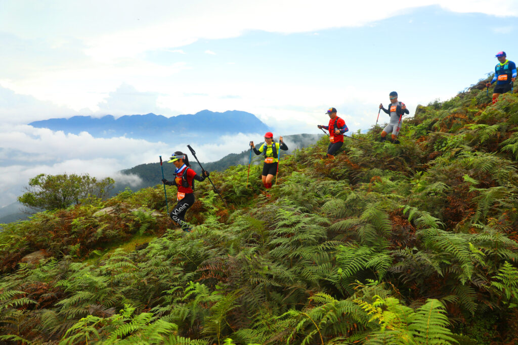 Experience the best Vietnam hiking tours: A complete guide to nature, culture, and adventure