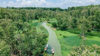 Vietnam jungle tour: The ultimate guide to exploring the untouched wilderness