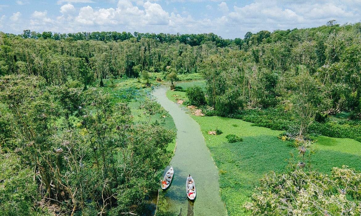 Vietnam jungle tour: The ultimate guide to exploring the untouched wilderness