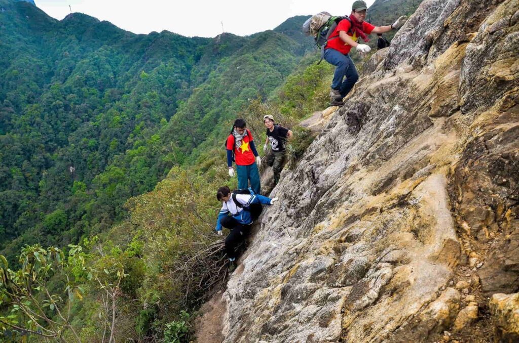Vietnam jungle tour: The ultimate guide to exploring the untouched wilderness