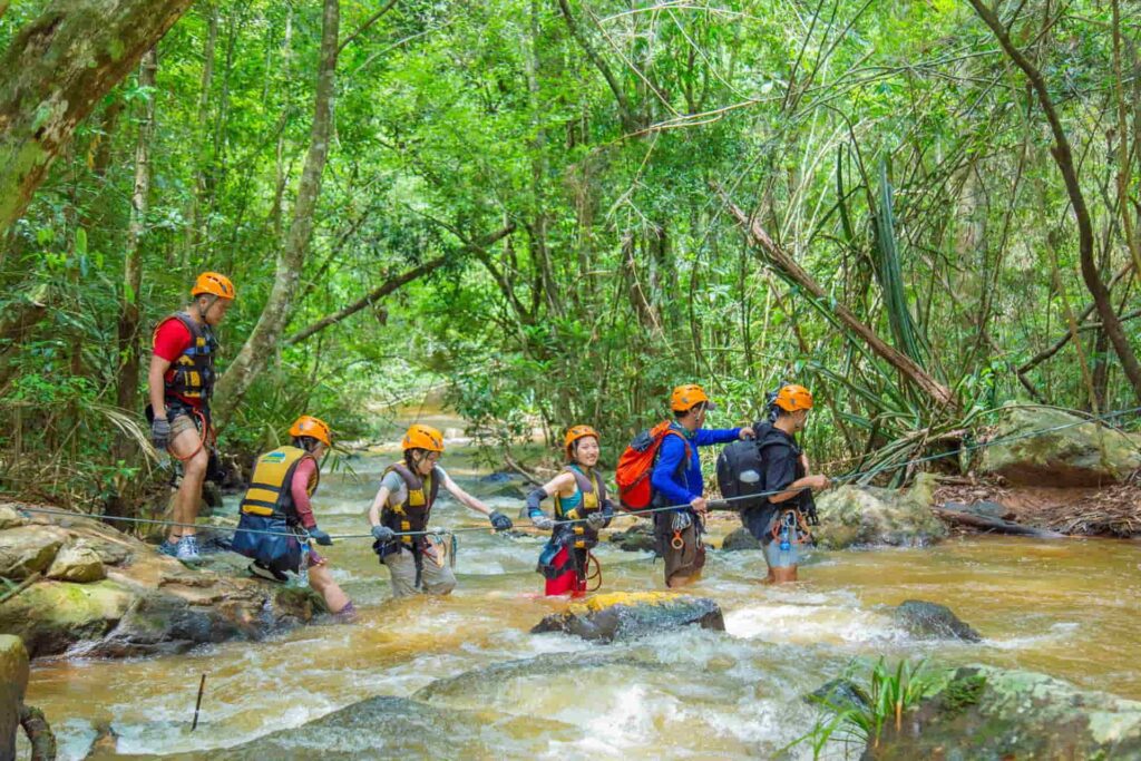 Vietnam jungle tour: The ultimate guide to exploring the untouched wilderness