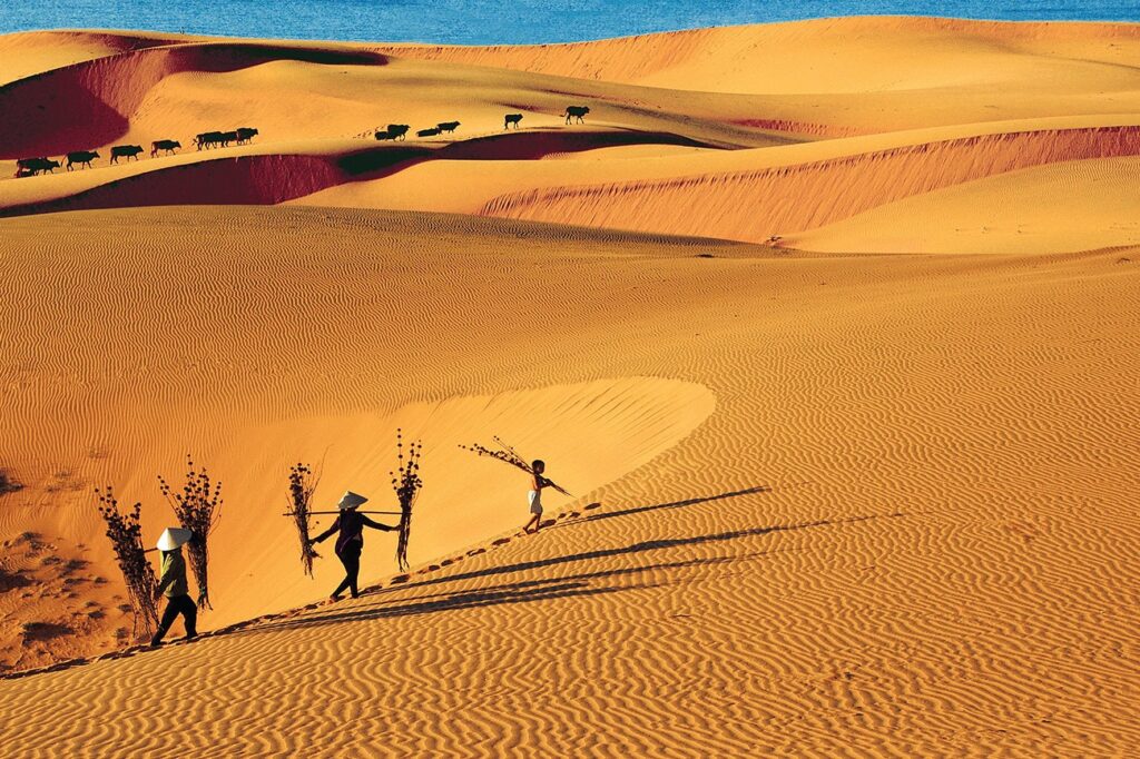 Vietnam sand dunes: Discover the majestic mini deserts across the country
