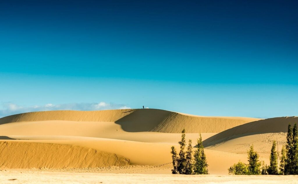 Vietnam sand dunes: Discover the majestic mini deserts across the country