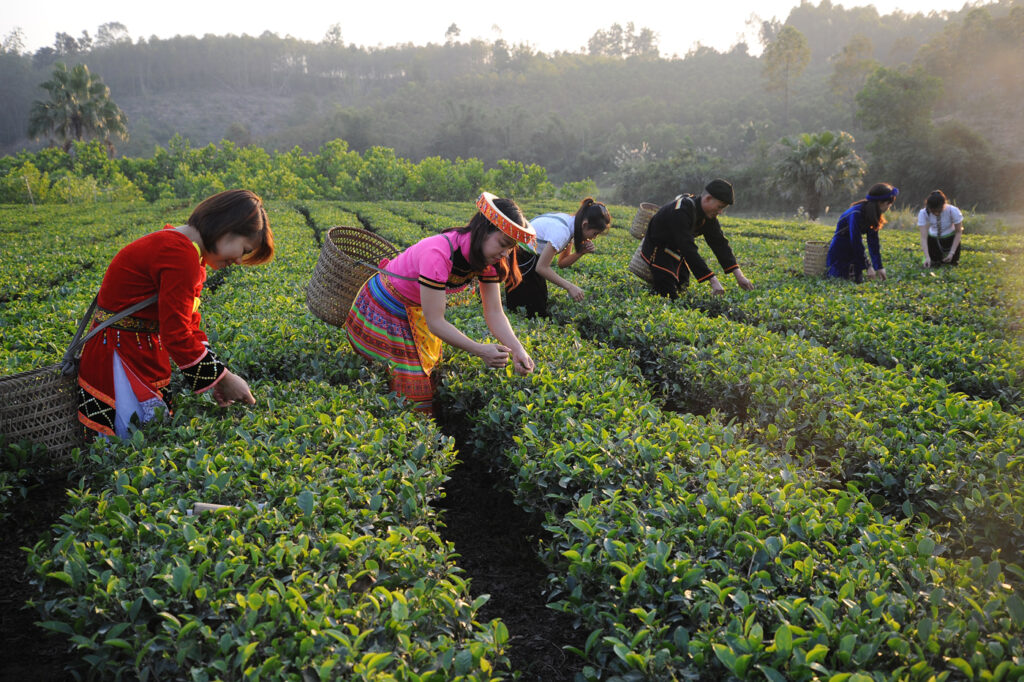 Village tour Vietnam: Discover authentic life beyond the cities