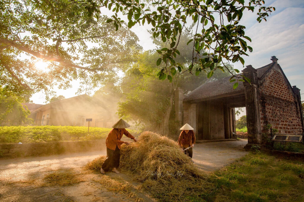 Village tour Vietnam: Discover authentic life beyond the cities