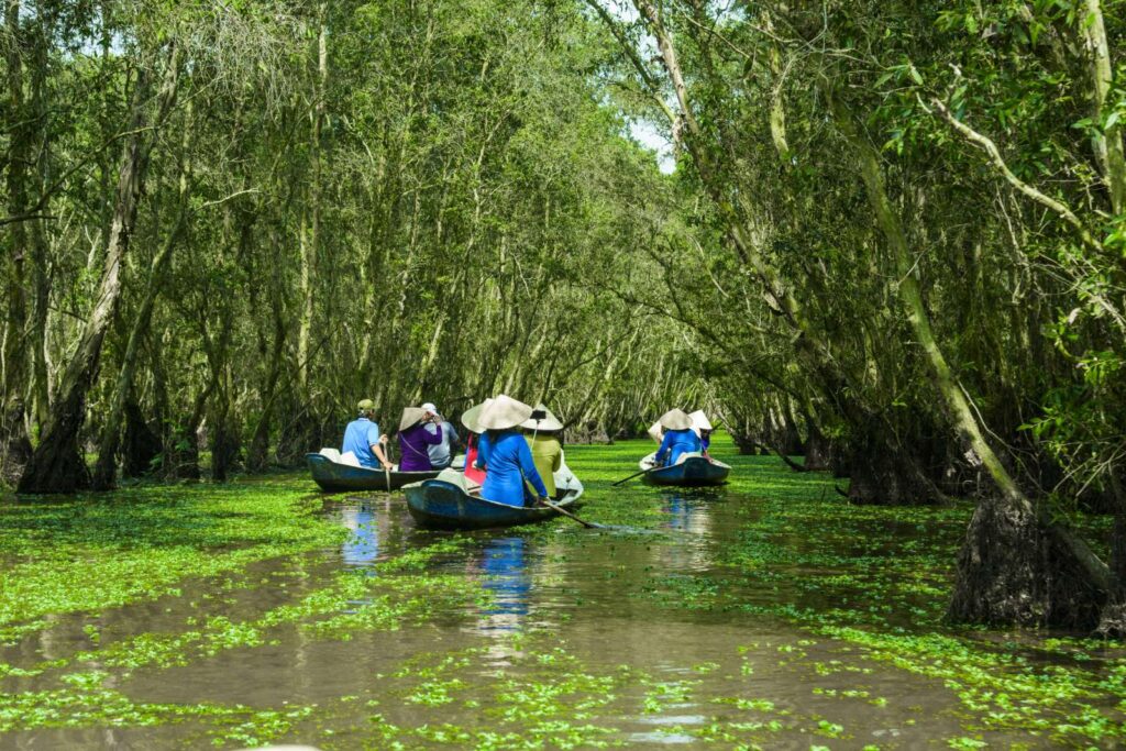 Eco adventure Vietnam: 11+ stunning eco destinations in the Mekong Delta for nature lovers