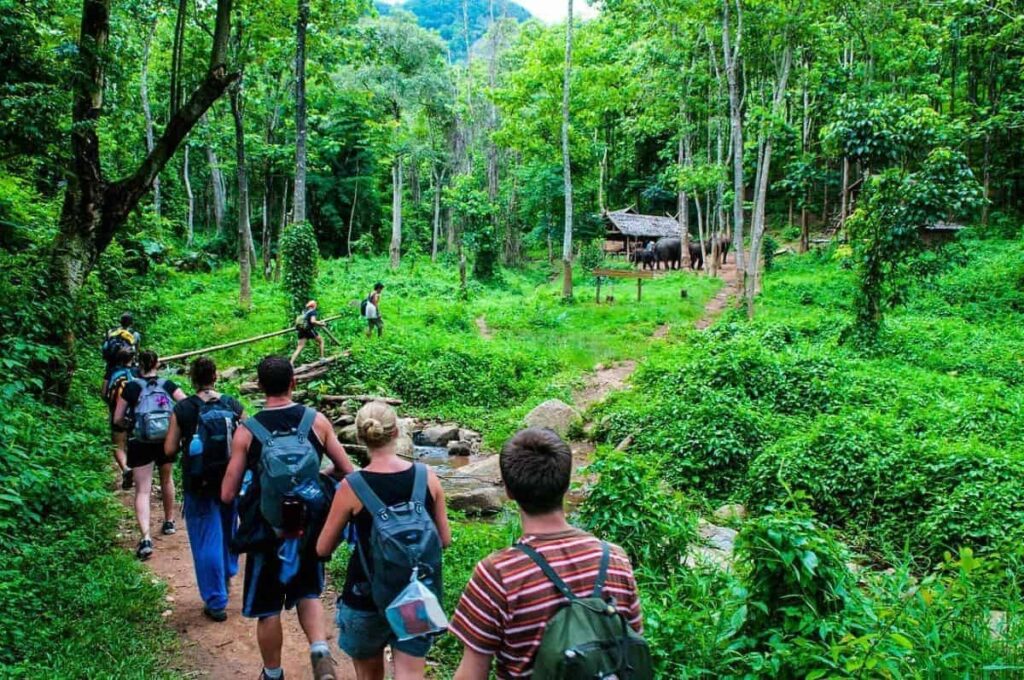 Eco adventure Vietnam: 11+ stunning eco destinations in the Mekong Delta for nature lovers