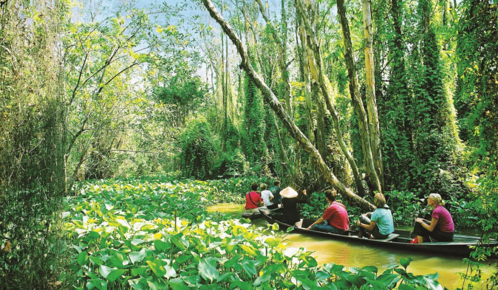 Eco adventure Vietnam: 11+ stunning eco destinations in the Mekong Delta for nature lovers