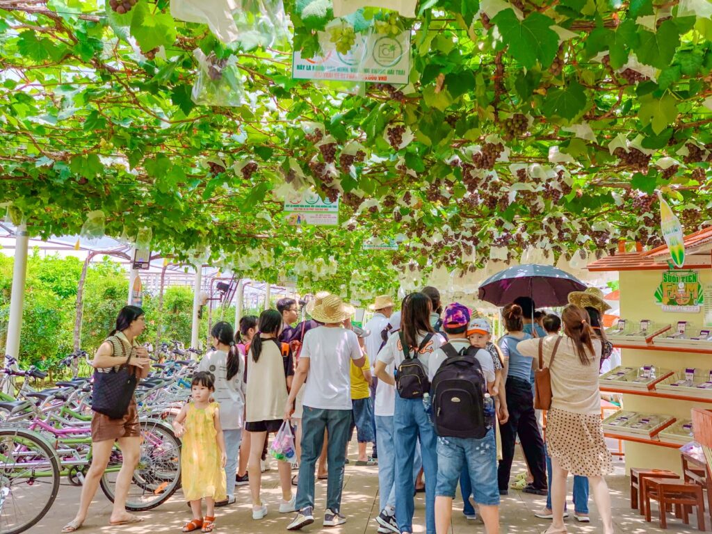 Vietnam indigenous culture tour – Dive deep into the soul of a timeless land