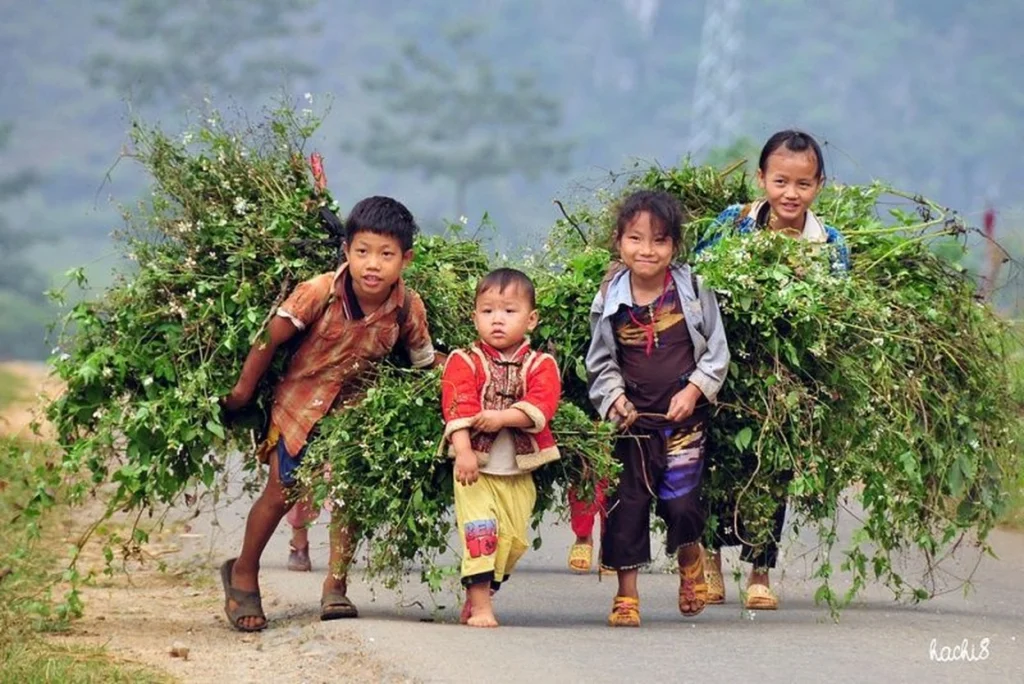 Vietnam mountain tribe experience: A cultural journey through Vietnam’s highlands