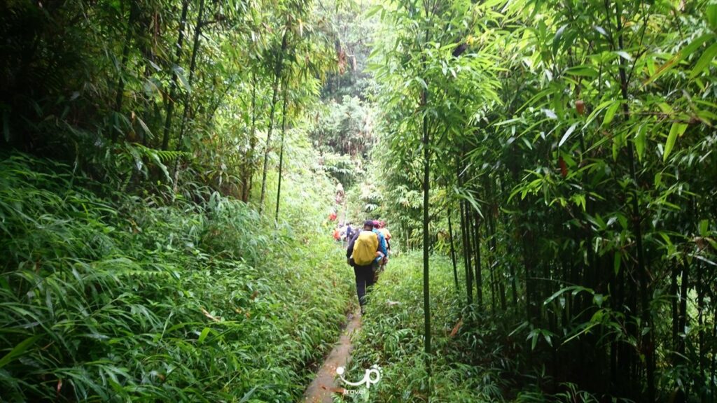 Vietnam off the beaten path: A travel guide to the country’s hidden soul
