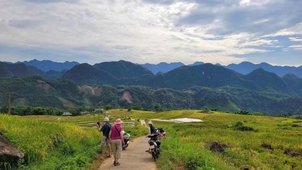 Vietnam rural homestay tour: Discover the authentic soul of Vietnam's countryside