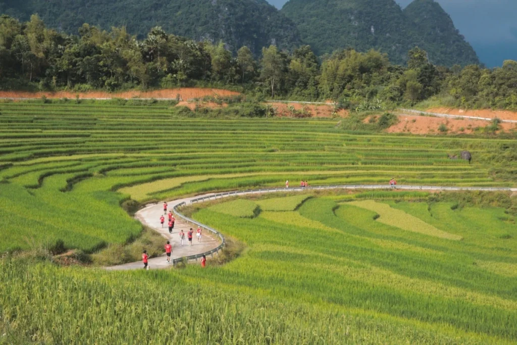 Vietnam rural homestay tour: Discover the authentic soul of Vietnam's countryside