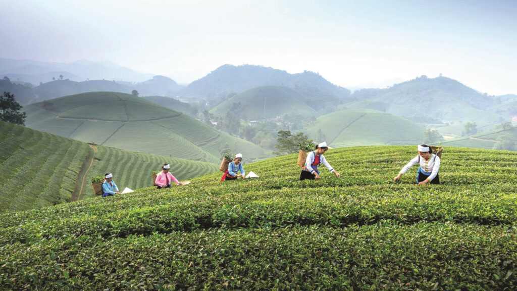Vietnam rural homestay tour: Discover the authentic soul of Vietnam's countryside